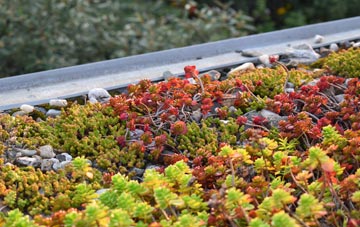 the cost of Berry Brow green roof installation