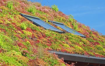 Berry Brow living roof systems