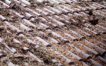 Berry Brow roof cleaning companies