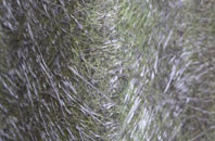 Berry Brow fibreglass roof work